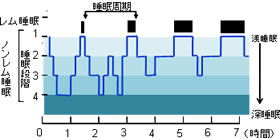 Q＆A　質の良い睡眠とは？